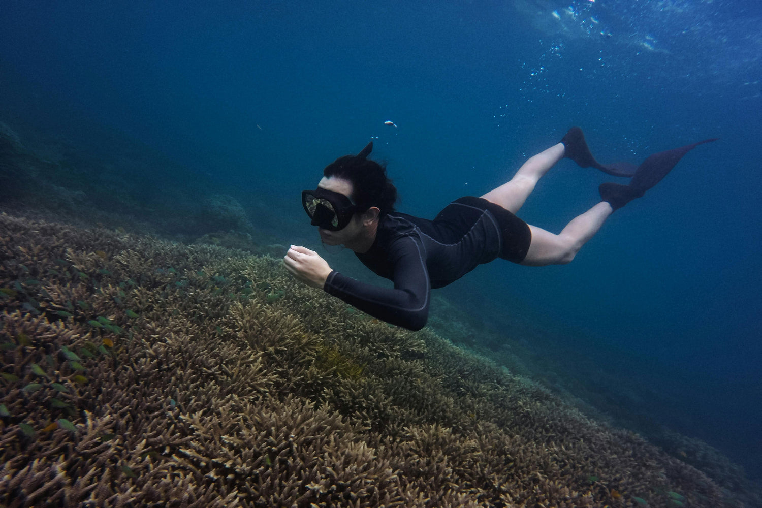 How to become a free diver?