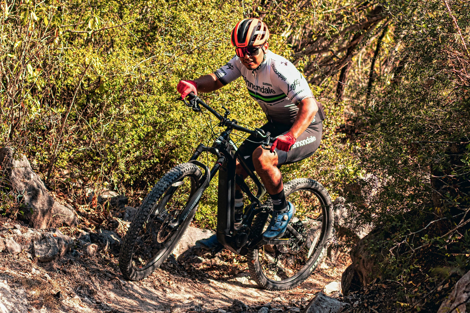 Detailed Summary on MTB bicycle frames