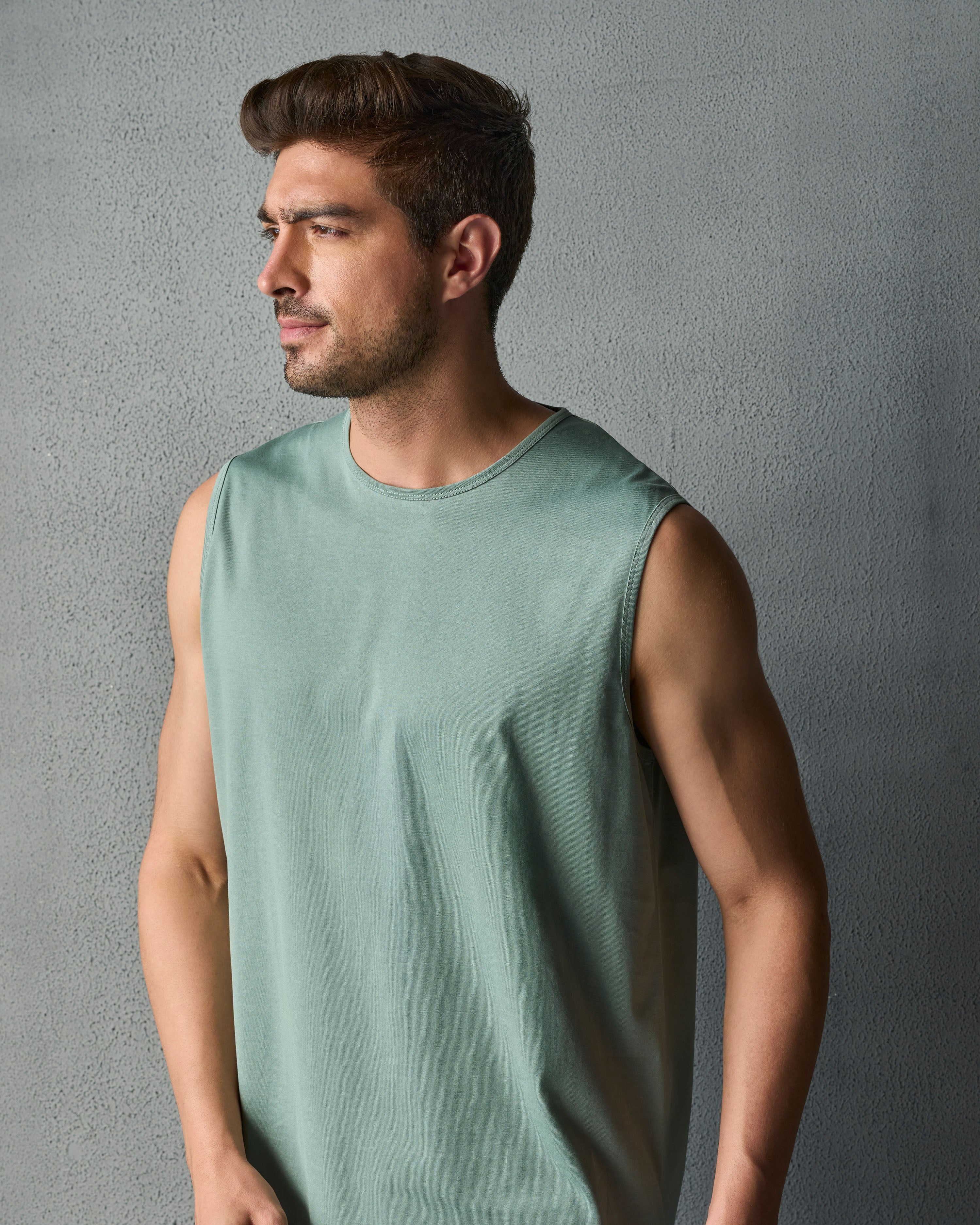 #color_Celadon